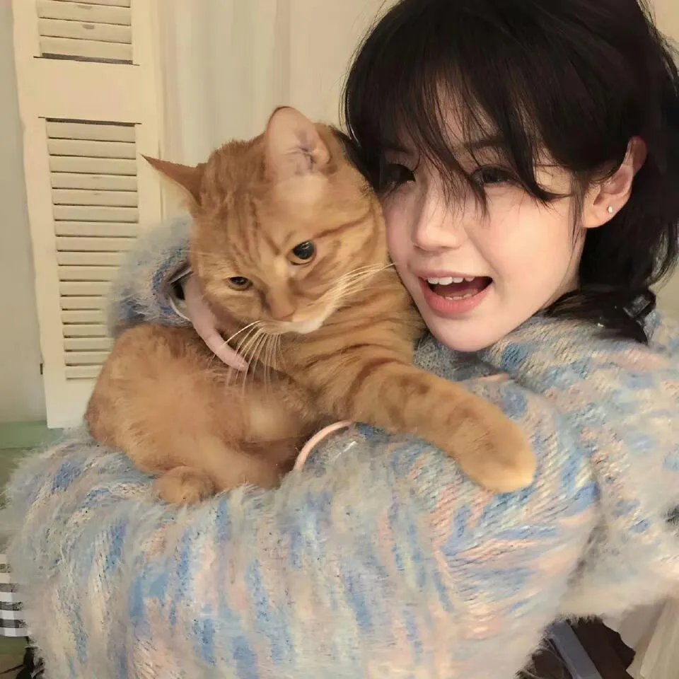 天才麻将少女电影版